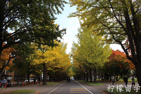 北海道大学