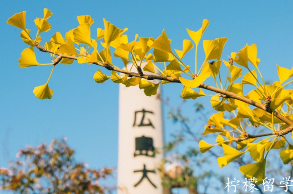 广岛大学