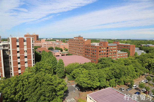 筑波大学