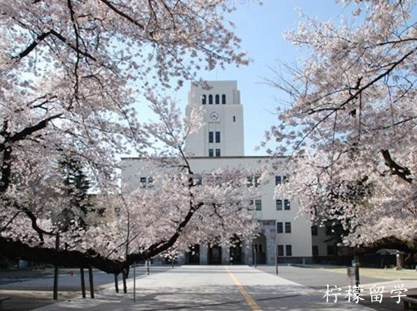 日本大学别科申请