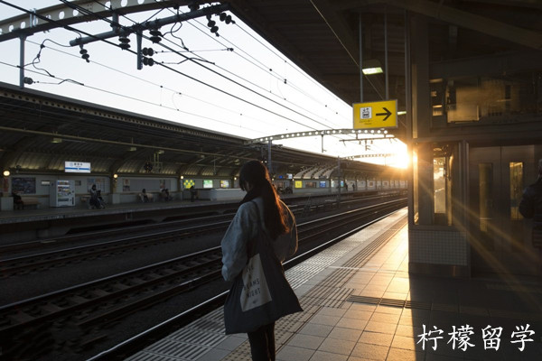 日本大学别科申请