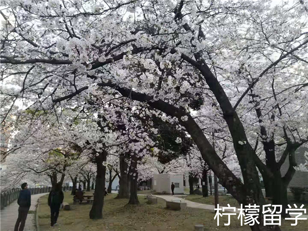 在日本九州大学就读体验