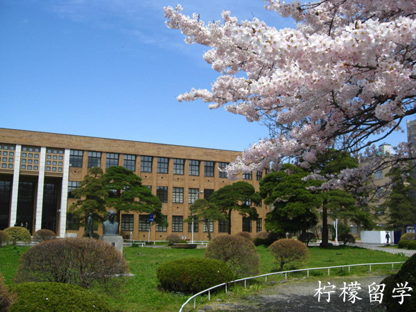 东北大学