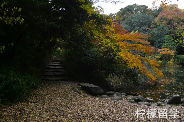 东京大学各学部以及研究科所在校区