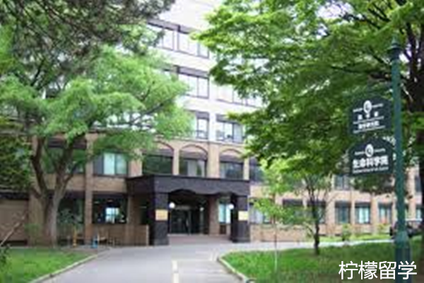 日本北海道大学怎么样？