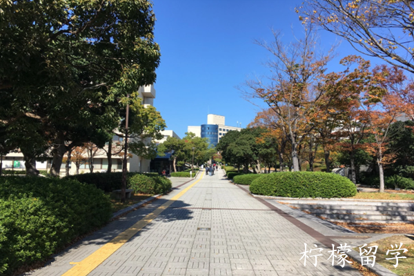 日本和歌山大学怎么样,日本留学,和歌山大学研究生,日本研究生申请,日本读研,