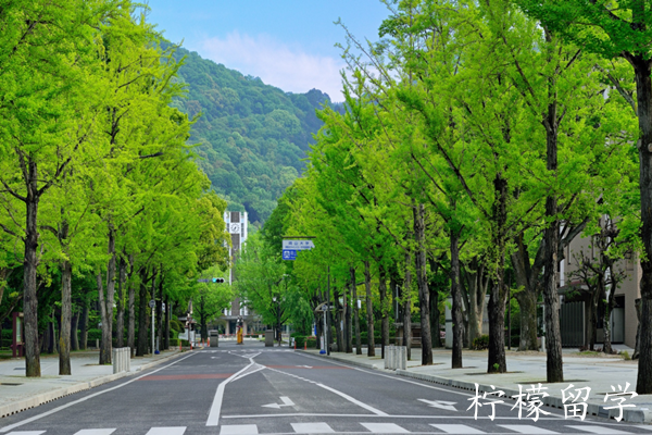 日本大学sgu项目,日本留学sgu,国际学生探索项目GDP英文授课本科课程,