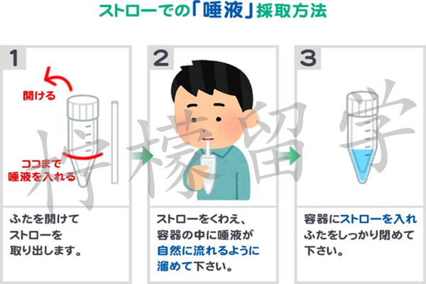 日本留学,柠檬留学,2021年日本留学入境,怎么办理签证,日本语言学校,日本研究生申请,