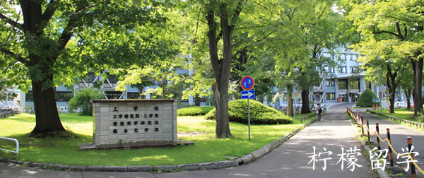 日本留学,赴日读研,北海道大学工学研究生,日本读研,