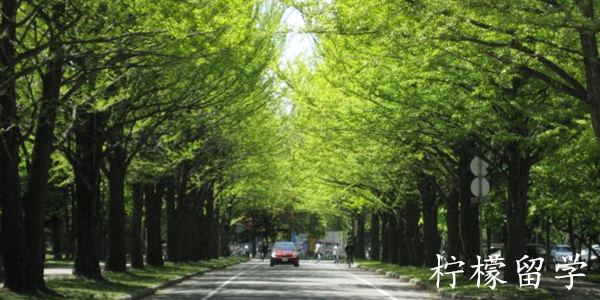 日本留学,赴日读研,北海道大学工学研究生,日本读研,