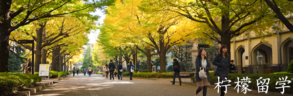 日本留学,赴日读研,柠檬留学,日本青山学院大学,日本研究生申请,