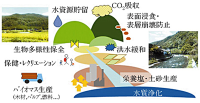 日本留学,赴日读研,日本大学SGU,岛根大学SGU英文授课,岛根大学英文授课SESE环境系统科学硕士课程,