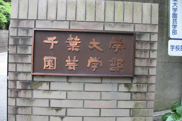 日本留学,赴日读博,千叶大学SUG,千叶大学英文授课EHCL环境园艺科学专业,