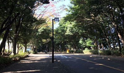 日本留学,赴日读研,日本大学SGU,横滨国立大学英文授课TLP跨国法律与政策博士课程,