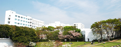 日本留学,赴日读研,日本大学SGU,横滨国立大学英文授课TLP跨国法律与政策博士课程,