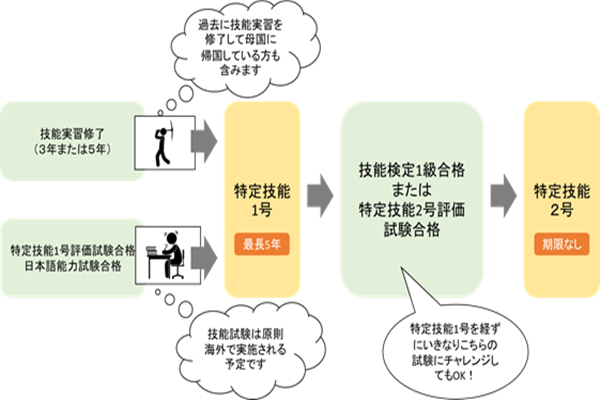 日本工作签,日本留学,特定技能2号,签证,