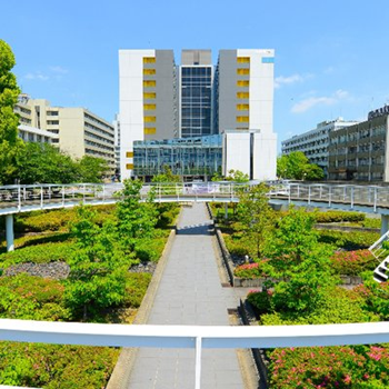 日本留学,赴日读研,日本大学SGU,名古屋工业大学英文授课,名古屋工业大学英文授课GSE工学硕博课程,