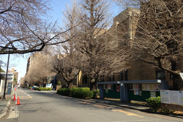 日本留学,东京大学,东京大学学生,东京大学怎么样,