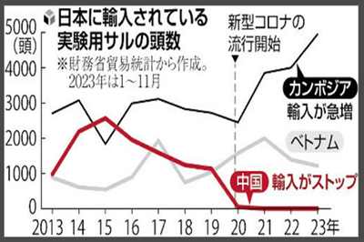 日本留学,日本医学,实验用动物,日本实验用猴,